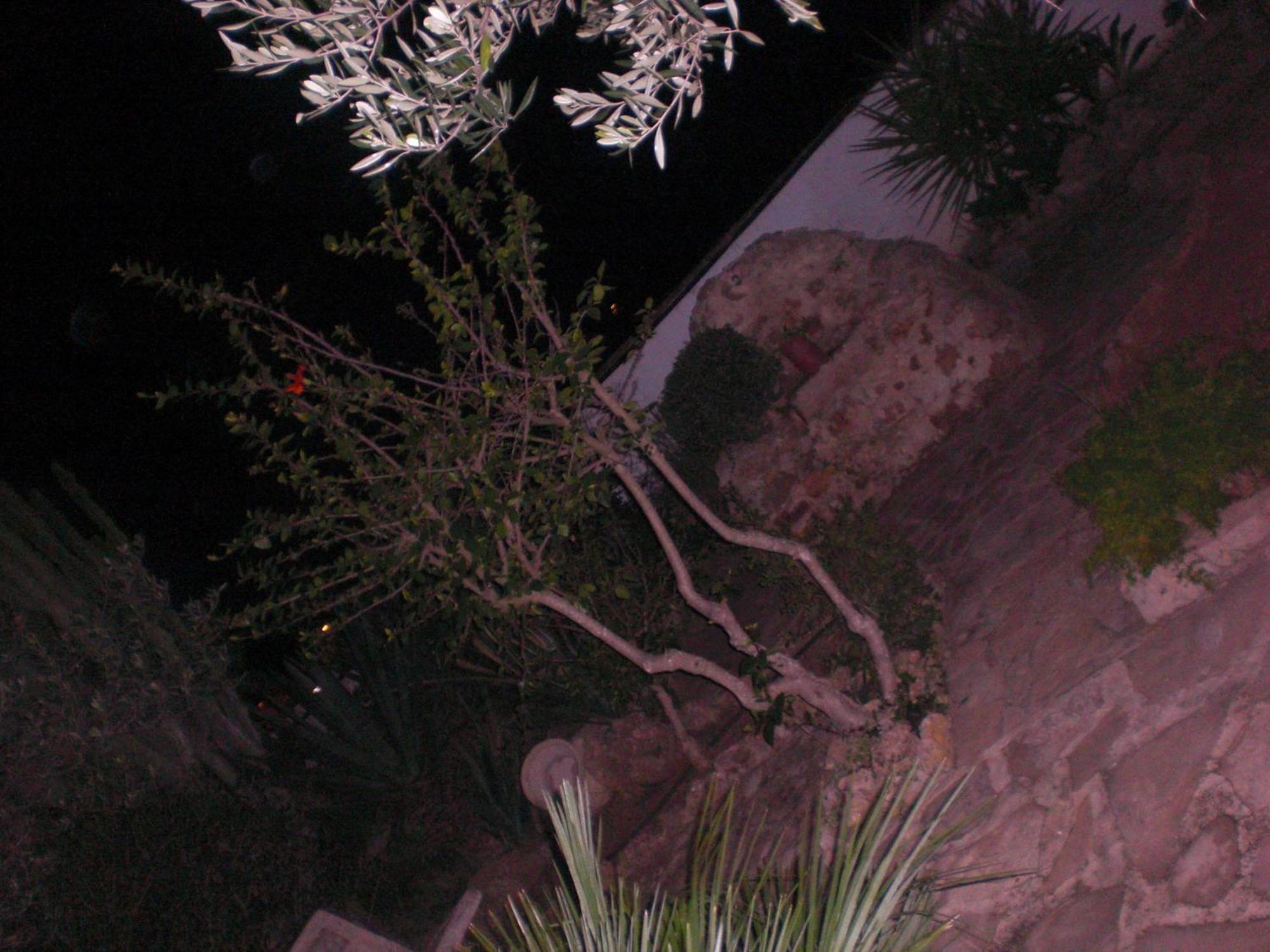 A Giummara Guest House Marsala Bagian luar foto