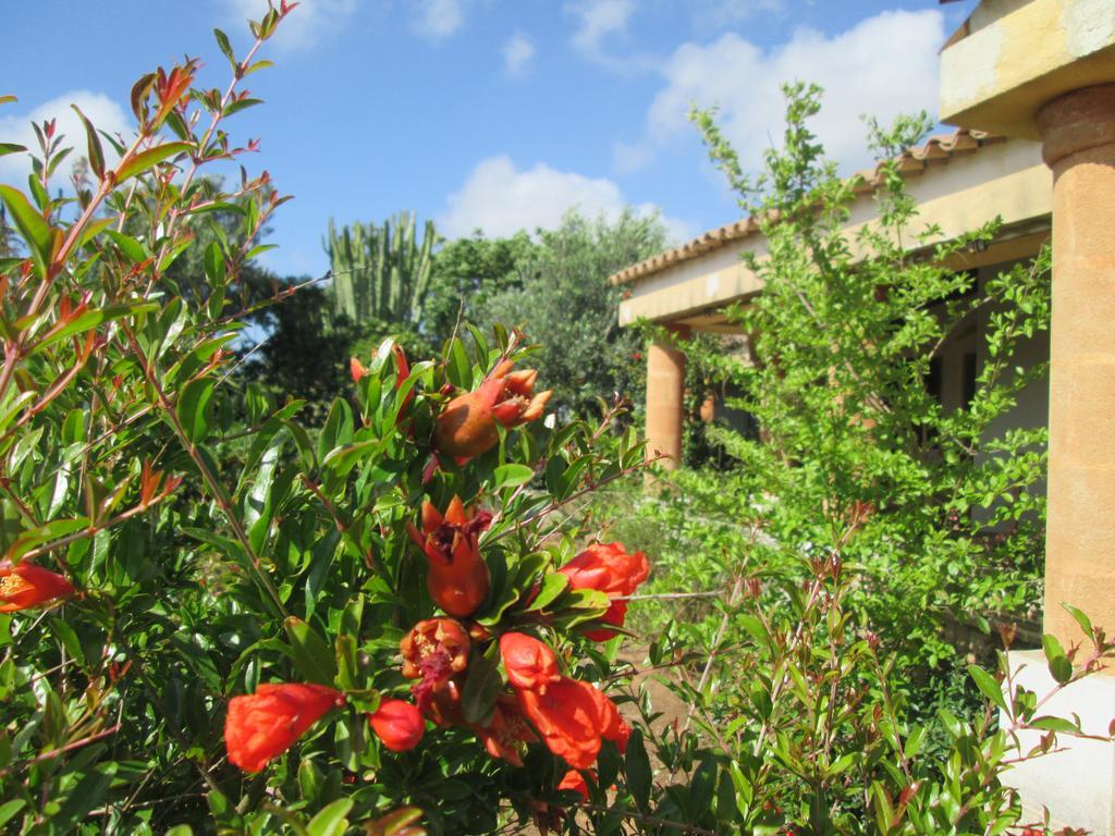 A Giummara Guest House Marsala Bagian luar foto