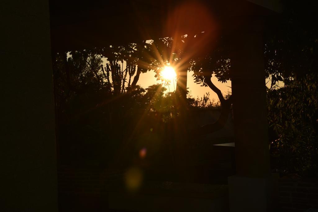 A Giummara Guest House Marsala Bagian luar foto